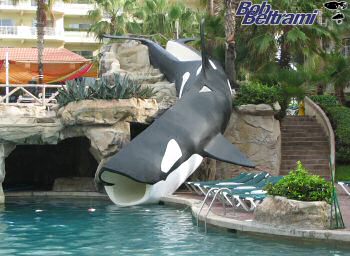 Orca pool slide