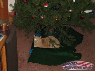 Simone under the tree