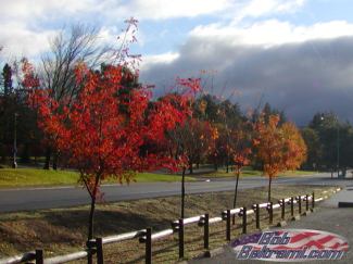 Low Gap Park