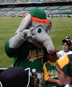 Stomper the A's Mascot